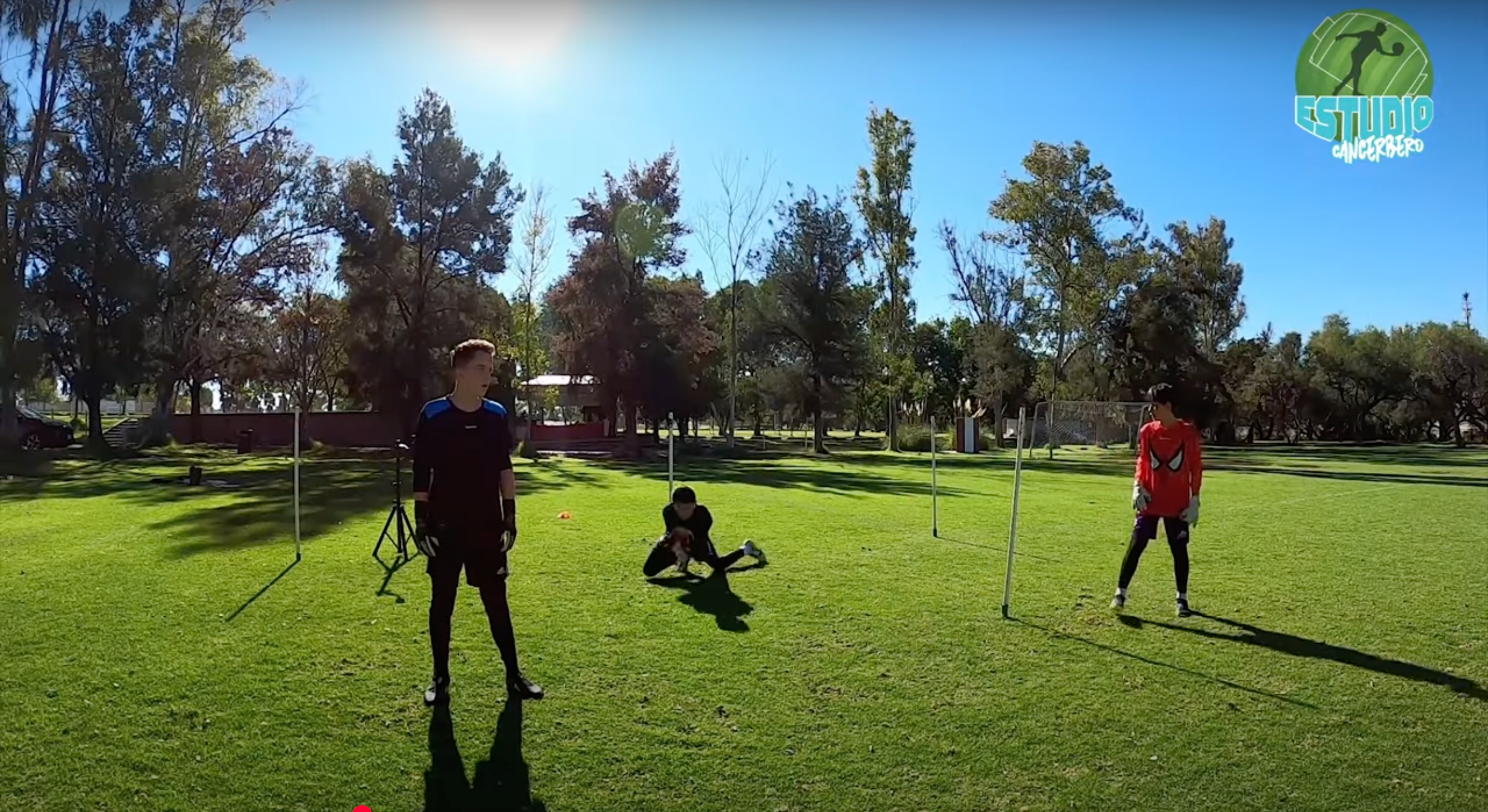 Cargar video: 