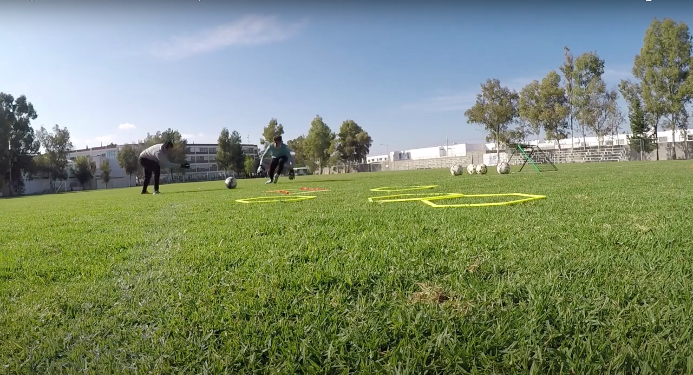 Cargar video: 